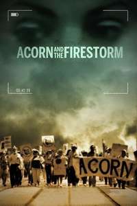 Acorn and the Firestorm - Poster