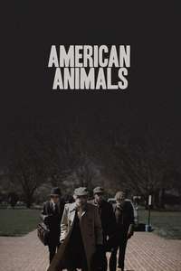 American Animals - Poster