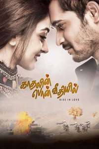 Sollividava - Poster