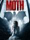 Moth