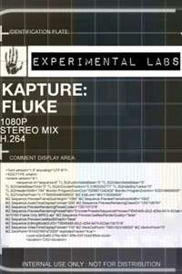 Kapture: Fluke - Poster