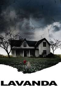 Lavender - Poster