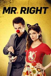 Mr. Right - Poster
