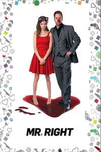 Mr. Right - Poster