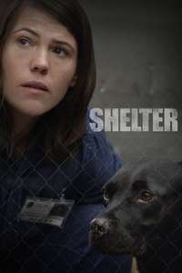 Shelter - Poster