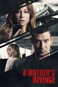 A Mother's Revenge - Poster