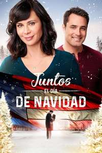 Home for Christmas Day - Poster