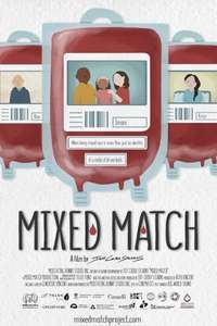 Mixed Match - Poster