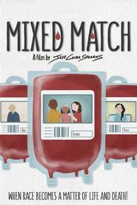 Mixed Match - Poster