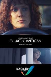 Catching the Black Widow - Poster