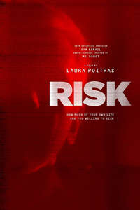 Risk - Poster