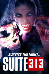 Suite 313 - Poster