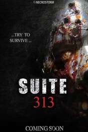 Suite 313