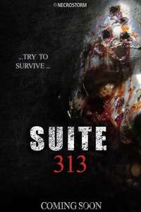 Suite 313 - Poster