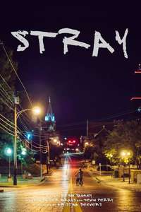 Stray - Poster
