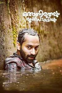 Thondimuthalum Driksakshiyum - Posters