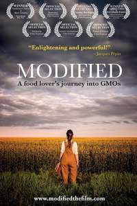 Modified - Poster