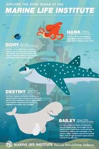 Marine Life Interviews - Poster