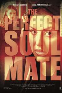 The Perfect Soulmate - Poster