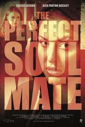 The Perfect Soulmate