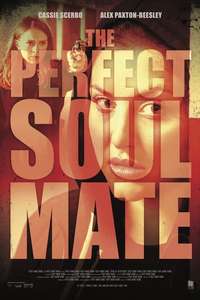 The Perfect Soulmate - Poster