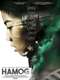 Haze