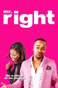 Mr. Right - Poster