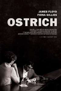 Ostrich - Poster