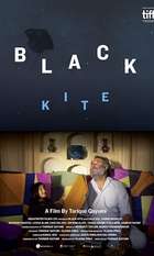 Black Kite