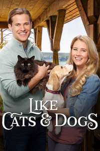 Like Cats & Dogs - Poster