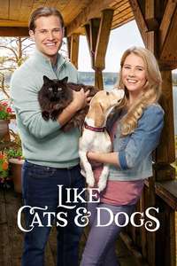 Like Cats & Dogs - Poster