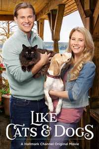 Like Cats & Dogs - Poster