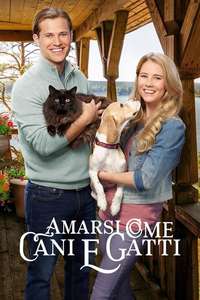 Like Cats & Dogs - Poster