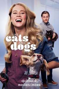 Like Cats & Dogs - Poster