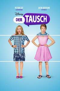 The Swap - Poster
