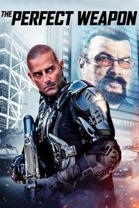 The Perfect Weapon - Poster
