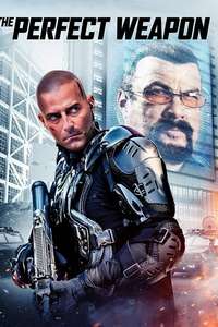 The Perfect Weapon - Poster