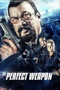 The Perfect Weapon - Poster