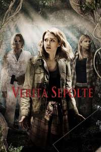 The Veil - Poster