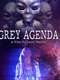 Grey Agenda