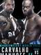Bellator 176: Carvalho vs. Manhoef 2
