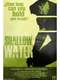 Shallow Water