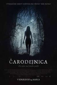 The Witch - Poster