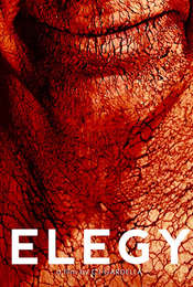 Elegy