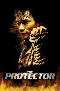 The Protector - Poster