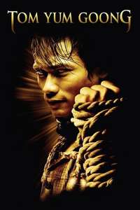 The Protector - Poster