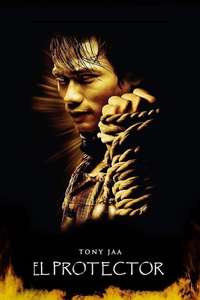 The Protector - Poster