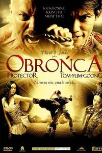 The Protector - Poster
