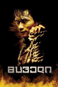 The Protector - Poster