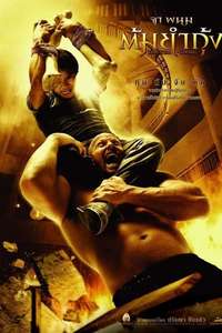 The Protector - Poster